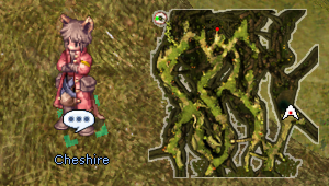 Cheshire01.png